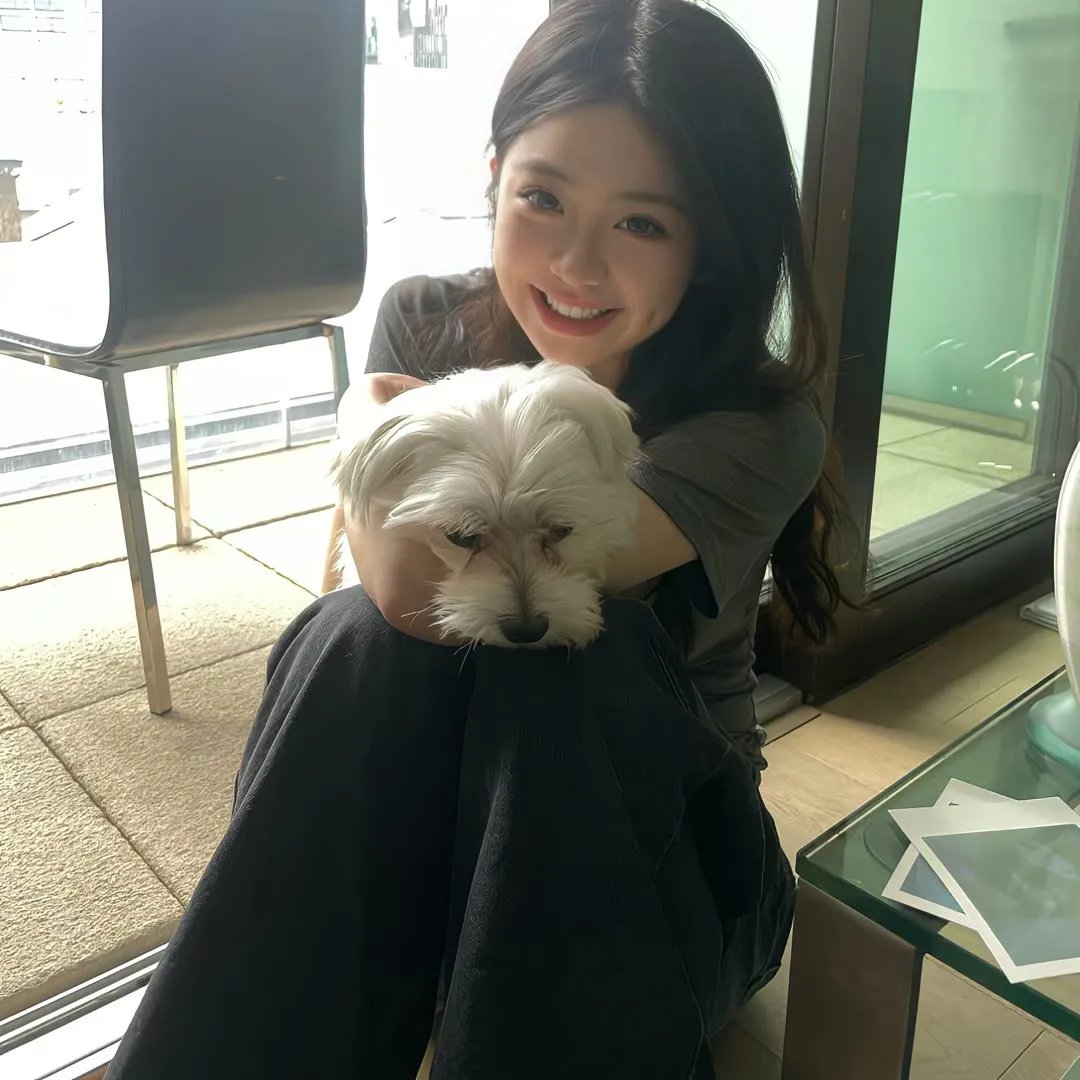 军犬麦斯2：白宫英雄